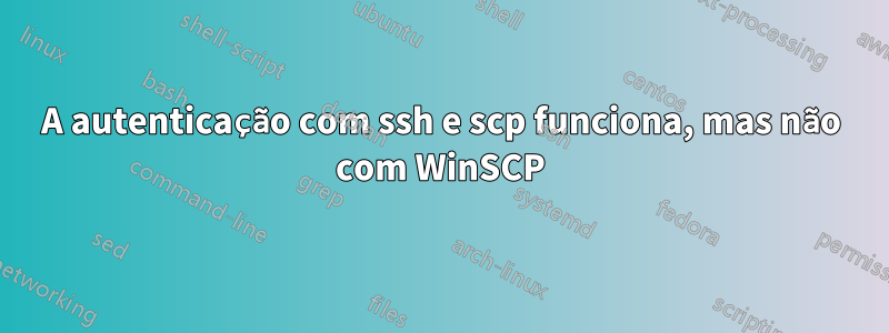 A autenticação com ssh e scp funciona, mas não com WinSCP