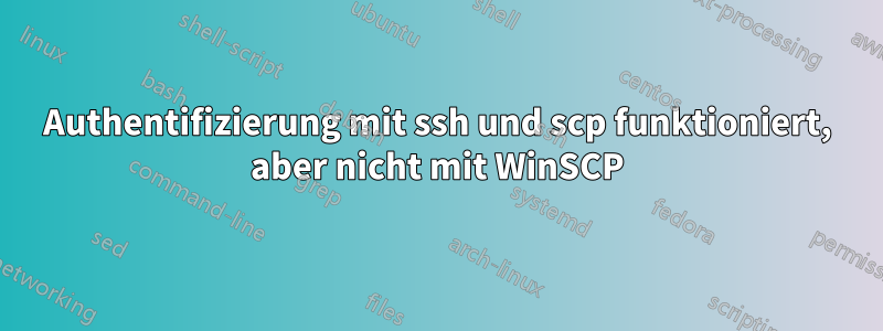 Authentifizierung mit ssh und scp funktioniert, aber nicht mit WinSCP