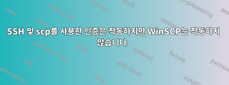 SSH 및 scp를 사용한 인증은 작동하지만 WinSCP는 작동하지 않습니다.