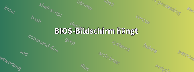 BIOS-Bildschirm hängt