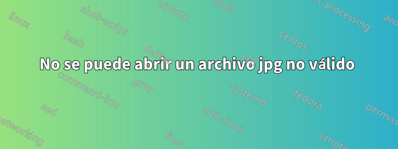 No se puede abrir un archivo jpg no válido