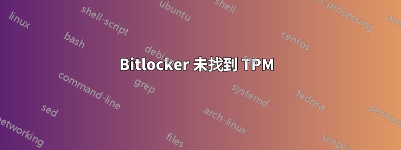 Bitlocker 未找到 TPM 