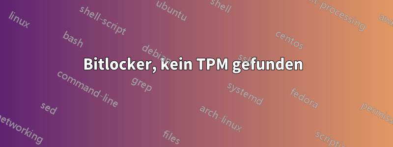 Bitlocker, kein TPM gefunden 