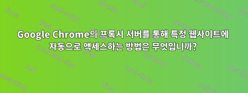 Google Chrome의 프록시 서버를 통해 특정 웹사이트에 자동으로 액세스하는 방법은 무엇입니까?