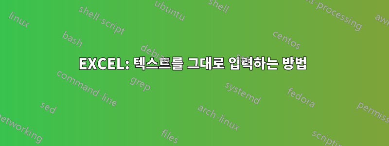 EXCEL: 텍스트를 그대로 입력하는 방법