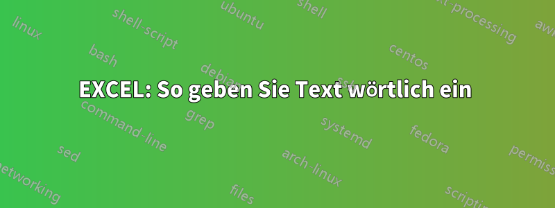 EXCEL: So geben Sie Text wörtlich ein