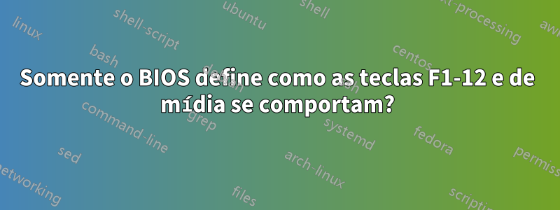 Somente o BIOS define como as teclas F1-12 e de mídia se comportam?