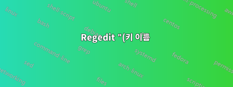 Regedit "(키 이름)을 삭제할 수 없습니다: 키를 삭제하는 중 오류가 발생했습니다."