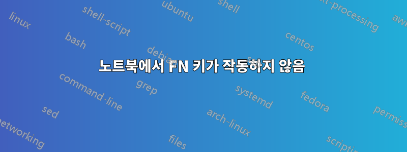 노트북에서 FN 키가 작동하지 않음