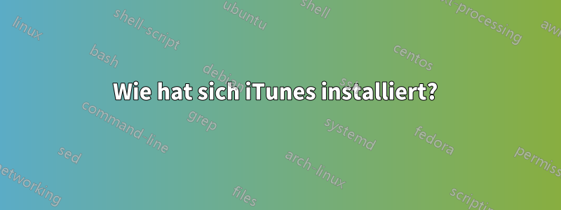 Wie hat sich iTunes installiert? 