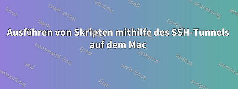 Ausführen von Skripten mithilfe des SSH-Tunnels auf dem Mac