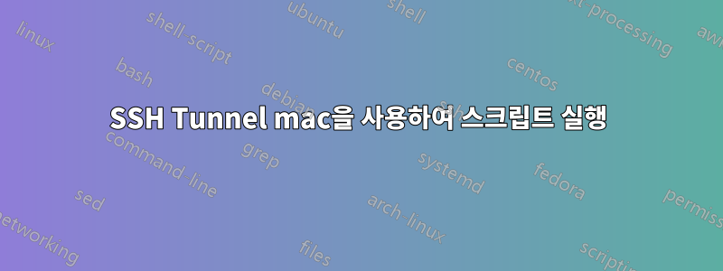 SSH Tunnel mac을 사용하여 스크립트 실행