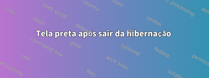 Tela preta após sair da hibernação