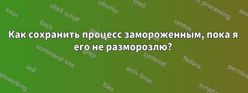 Как сохранить процесс замороженным, пока я его не разморозлю?