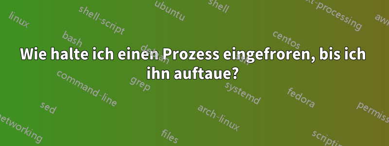 Wie halte ich einen Prozess eingefroren, bis ich ihn auftaue?