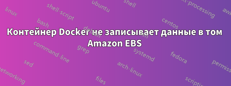 Контейнер Docker не записывает данные в том Amazon EBS