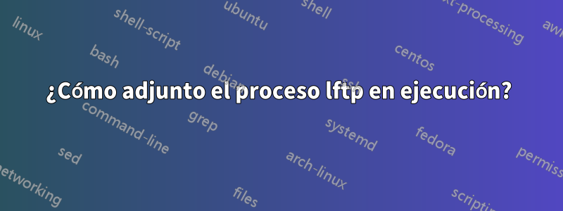 ¿Cómo adjunto el proceso lftp en ejecución?