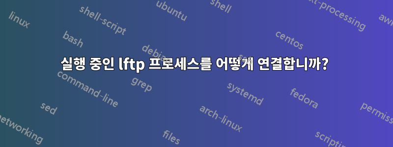 실행 중인 lftp 프로세스를 어떻게 연결합니까?