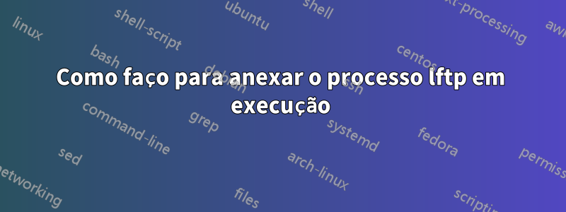 Como faço para anexar o processo lftp em execução