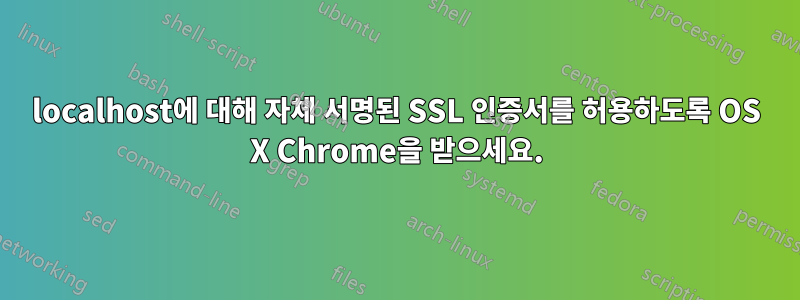 localhost에 대해 자체 서명된 SSL 인증서를 허용하도록 OS X Chrome을 받으세요.