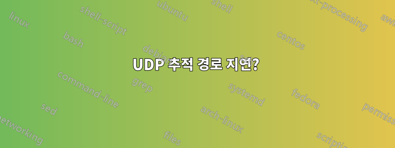 UDP 추적 경로 지연?