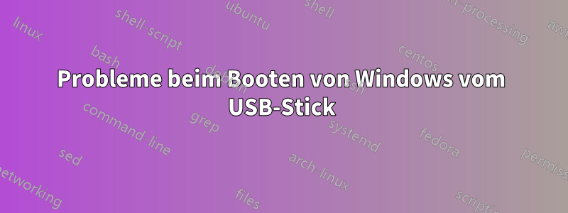 Probleme beim Booten von Windows vom USB-Stick