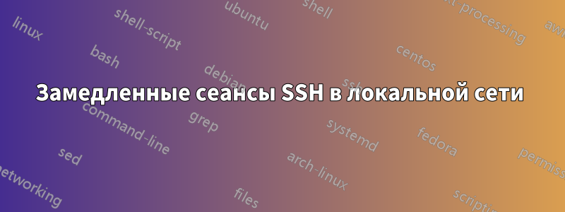 Замедленные сеансы SSH в локальной сети