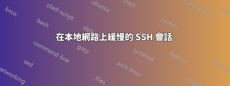 在本地網路上緩慢的 SSH 會話