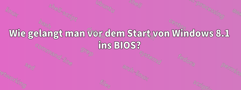 Wie gelangt man vor dem Start von Windows 8.1 ins BIOS?