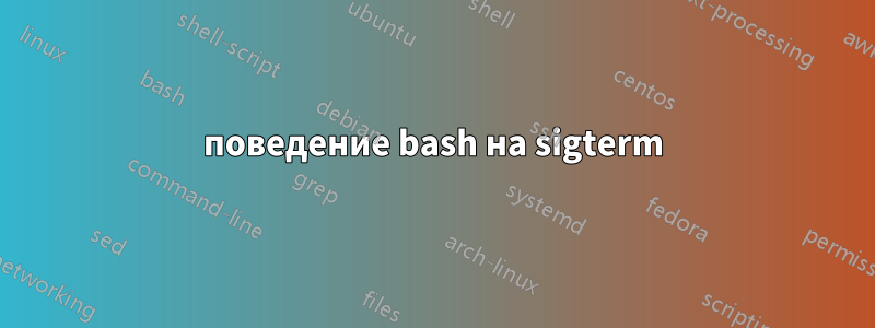 поведение bash на sigterm