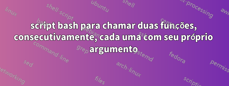 script bash para chamar duas funções, consecutivamente, cada uma com seu próprio argumento