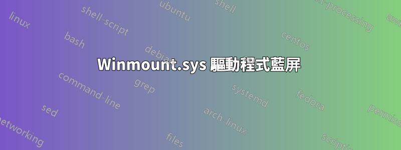 Winmount.sys 驅動程式藍屏