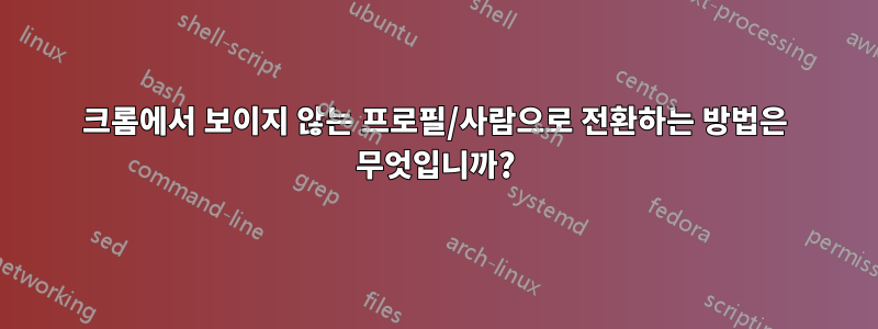 크롬에서 보이지 않는 프로필/사람으로 전환하는 방법은 무엇입니까?