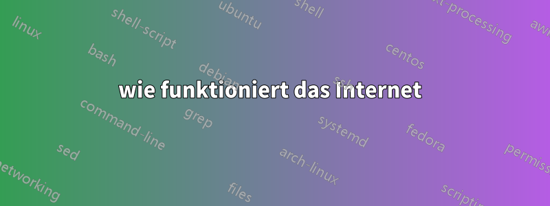 wie funktioniert das Internet 