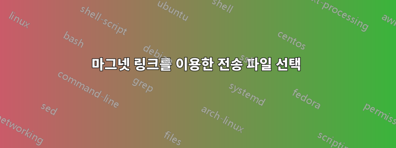 마그넷 링크를 이용한 전송 파일 선택