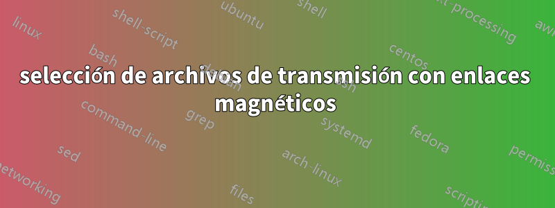 selección de archivos de transmisión con enlaces magnéticos