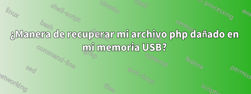 ¿Manera de recuperar mi archivo php dañado en mi memoria USB?