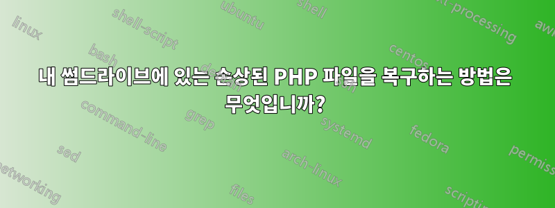 내 썸드라이브에 있는 손상된 PHP 파일을 복구하는 방법은 무엇입니까?