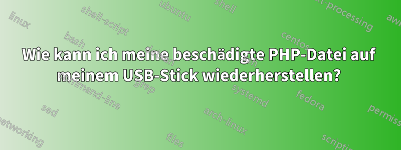 Wie kann ich meine beschädigte PHP-Datei auf meinem USB-Stick wiederherstellen?