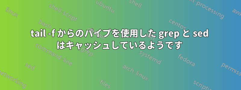 tail -f からのパイプを使用した grep と sed はキャッシュしているようです