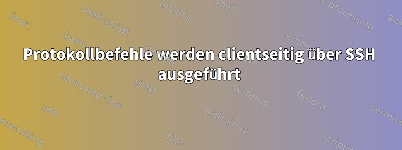 Protokollbefehle werden clientseitig über SSH ausgeführt