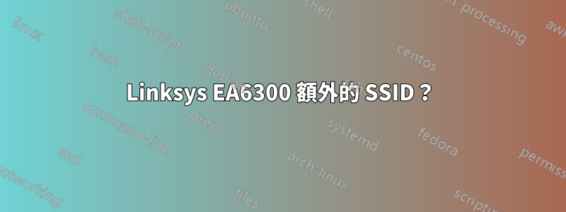 Linksys EA6300 額外的 SSID？