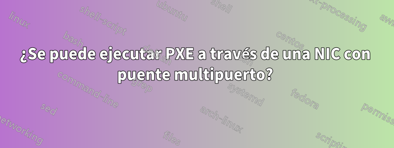 ¿Se puede ejecutar PXE a través de una NIC con puente multipuerto?