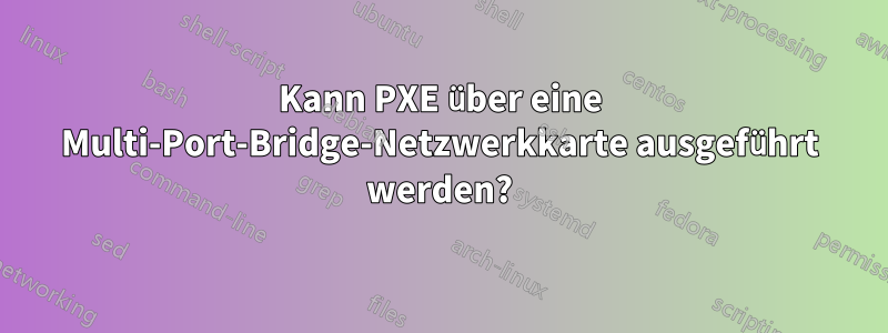 Kann PXE über eine Multi-Port-Bridge-Netzwerkkarte ausgeführt werden?