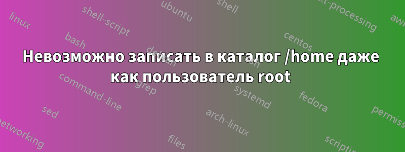 Невозможно записать в каталог /home даже как пользователь root