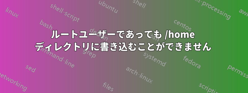 ルートユーザーであっても /home ディレクトリに書き込むことができません