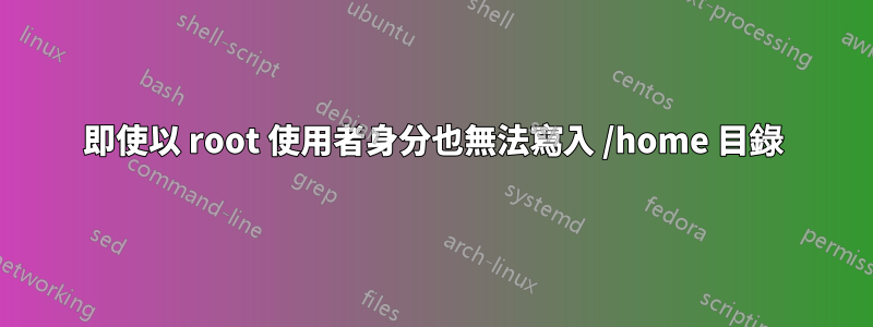 即使以 root 使用者身分也無法寫入 /home 目錄