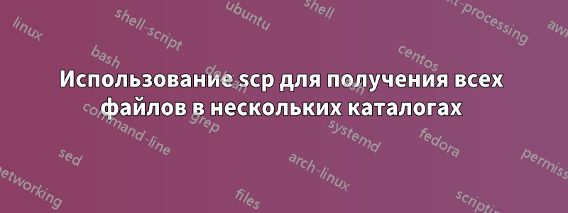 Использование scp для получения всех файлов в нескольких каталогах