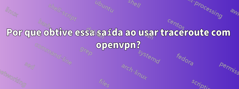 Por que obtive essa saída ao usar traceroute com openvpn?