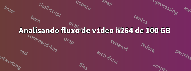 Analisando fluxo de vídeo h264 de 100 GB